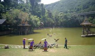 西双版纳好玩吗 西双版纳好玩吗